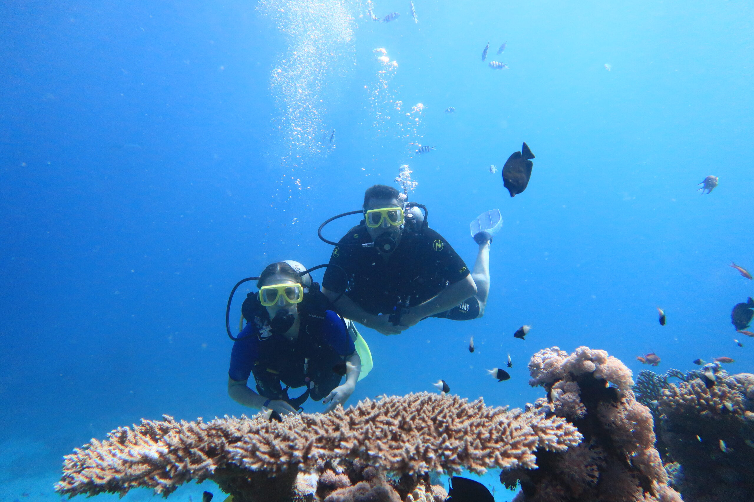 Scuba diving